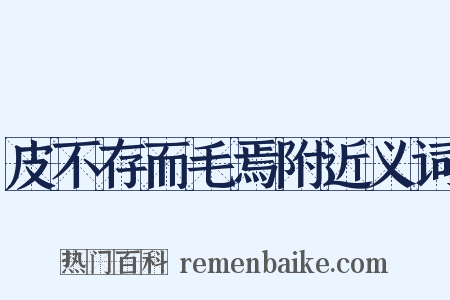 皮不存而毛焉附近义词是什么意思的图片
